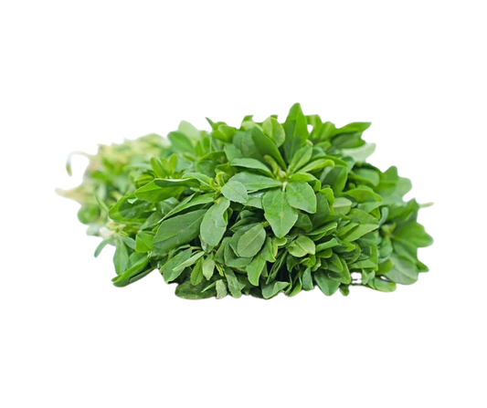 Fresh Methi leaves (Fenugreek), green aromatic herb, commonly used in Indian cooking for curries, parathas, and healthy dishes