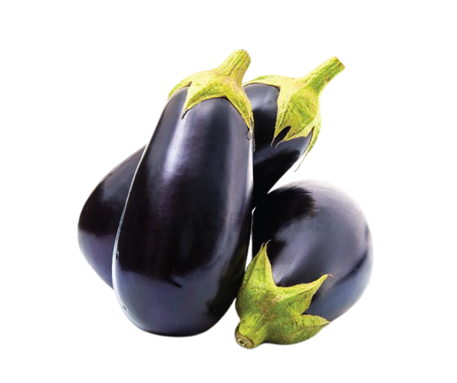 Fresh large eggplants (Brinjal), deep purple elongated vegetables, firm and versatile, commonly used in Indian and global recipes, including curries, roasting, and grilling
