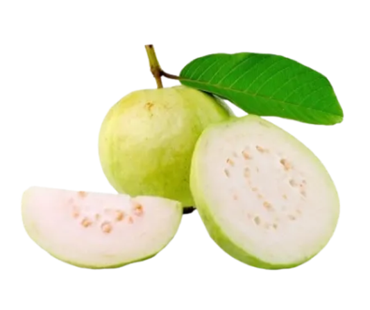 Fresh Indian guava, round green fruit, sweet and slightly tangy, commonly eaten raw, in salads, juices, and traditional recipes
