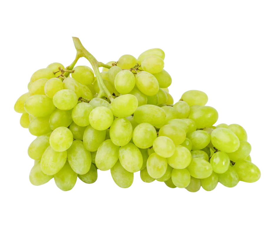 Fresh green grapes, small light green fruits, sweet and juicy, commonly eaten as a snack, in salads, desserts, and for juicing
