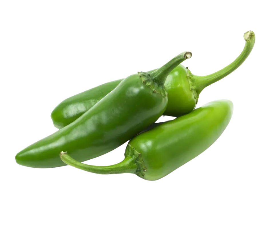 Fresh jalapeno pepper 100 g spicy chili used in Indian cooking, salsas, curries, and pickles